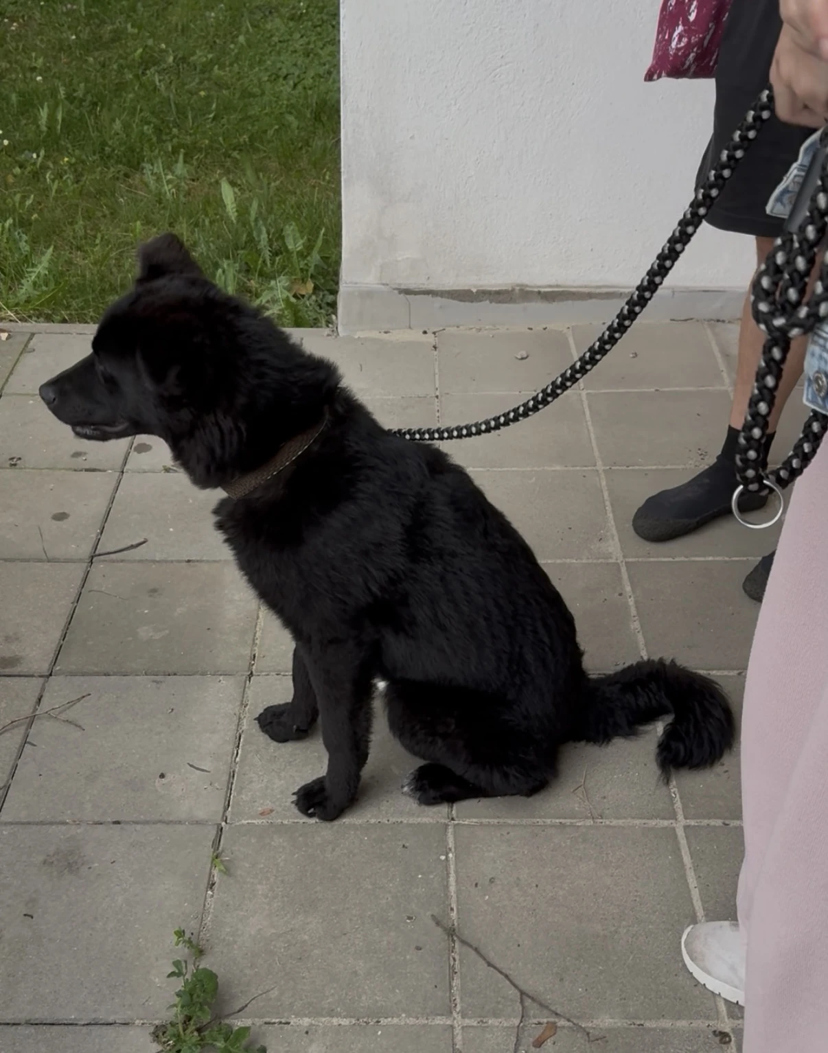 INDIVIDUÁLNÍ LEKCE