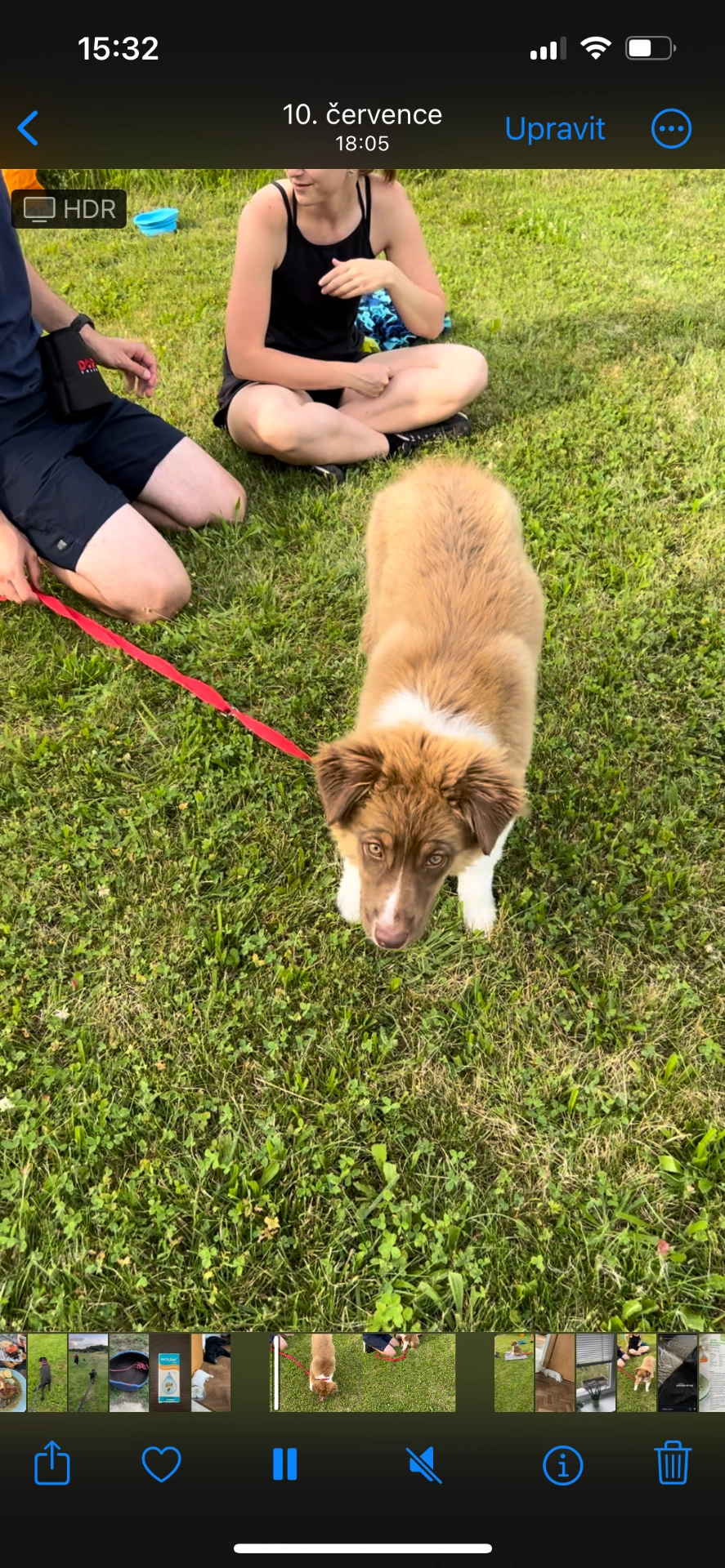 KURZ ŠKOLKA PRO ŠTĚŇATA