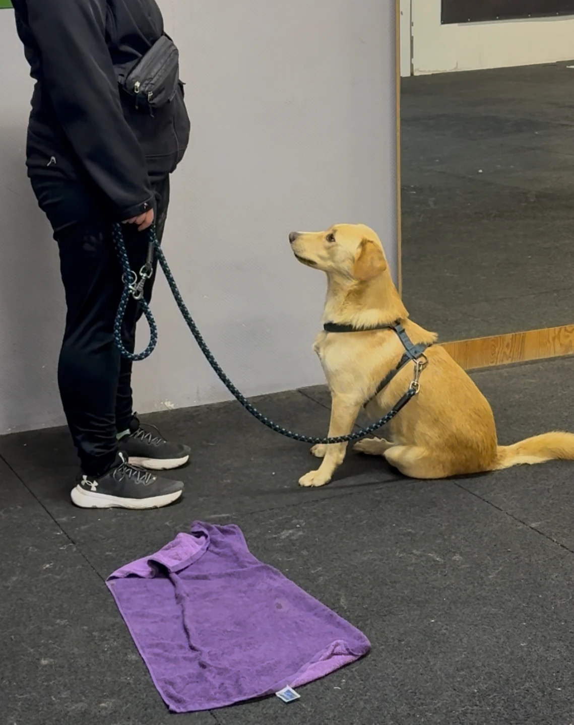 KURZ MĚSTSKÝ ŠVIHÁK