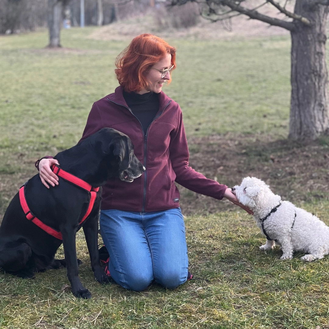 Individuální lekce