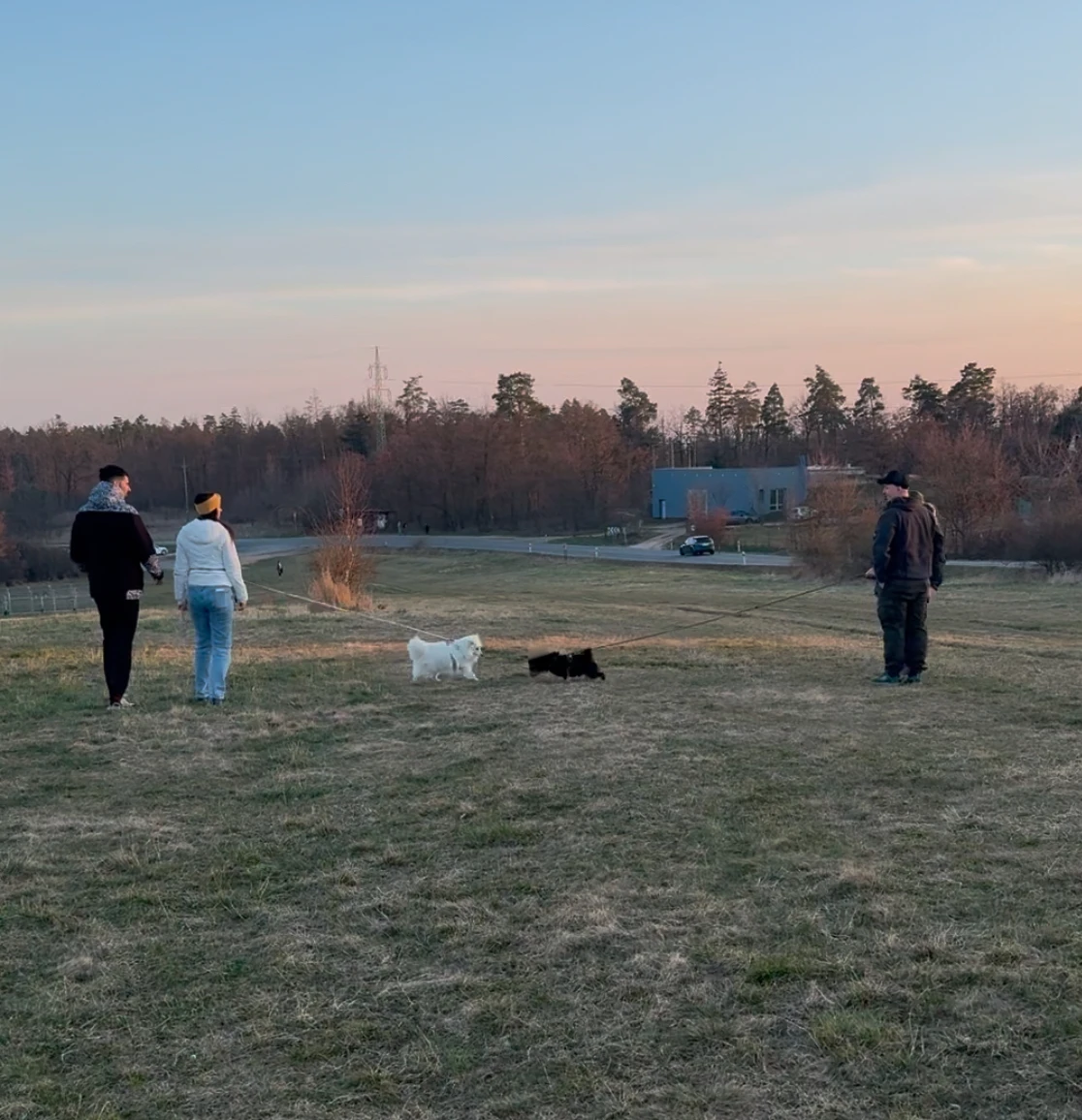 Potkávací procházky