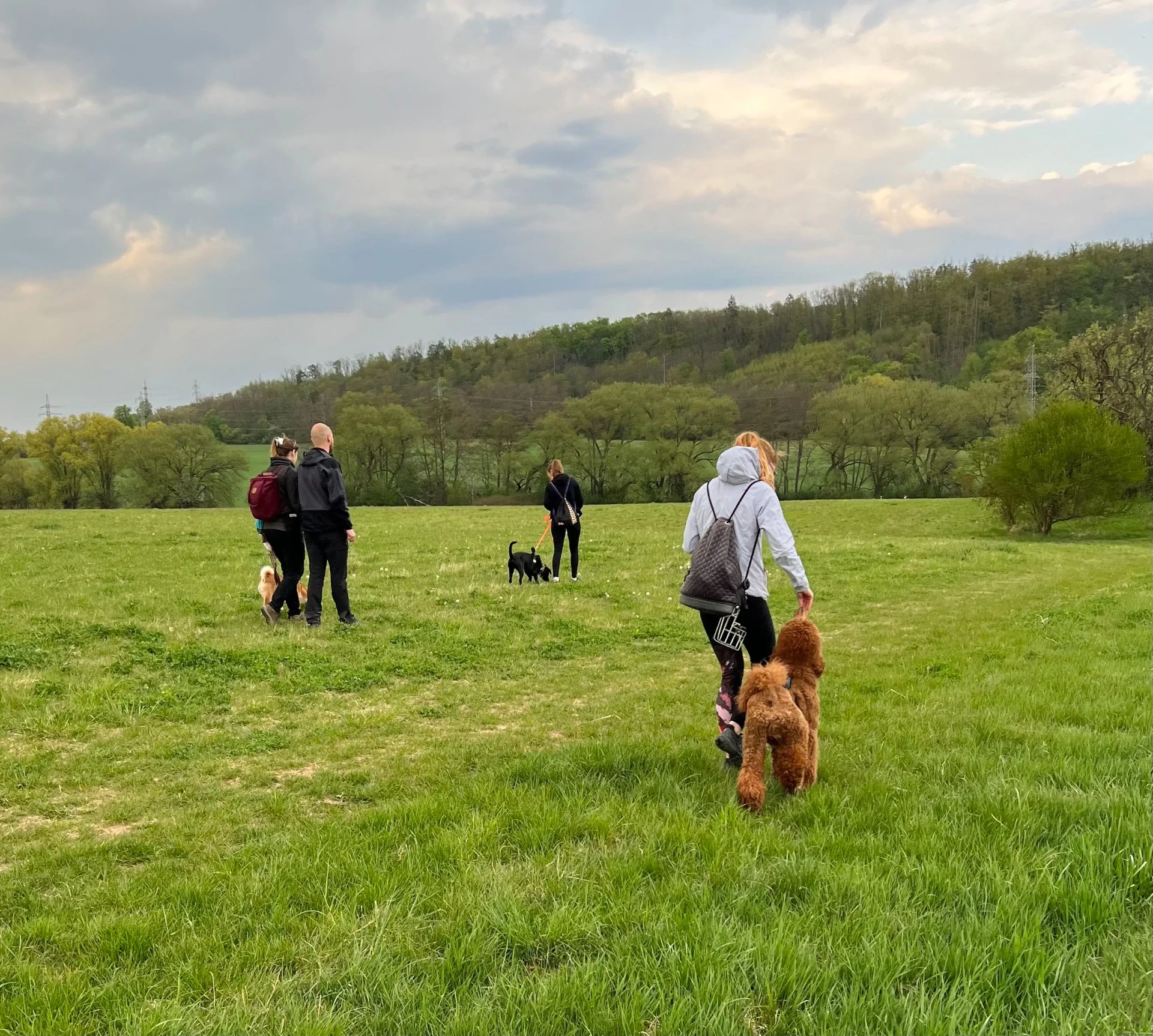 Tréninkové procházky